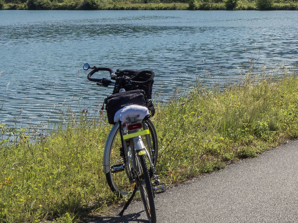 Close-up view of a bicycle resting near the Danube riverbank with Neuburg an der Donau in the distance.