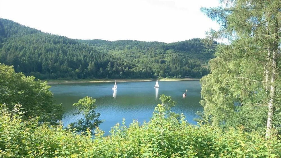Blick auf die Innerstetalsperre