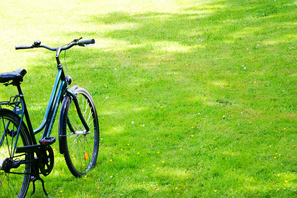 Wie wäre es mit einer kleinen Radtour ?