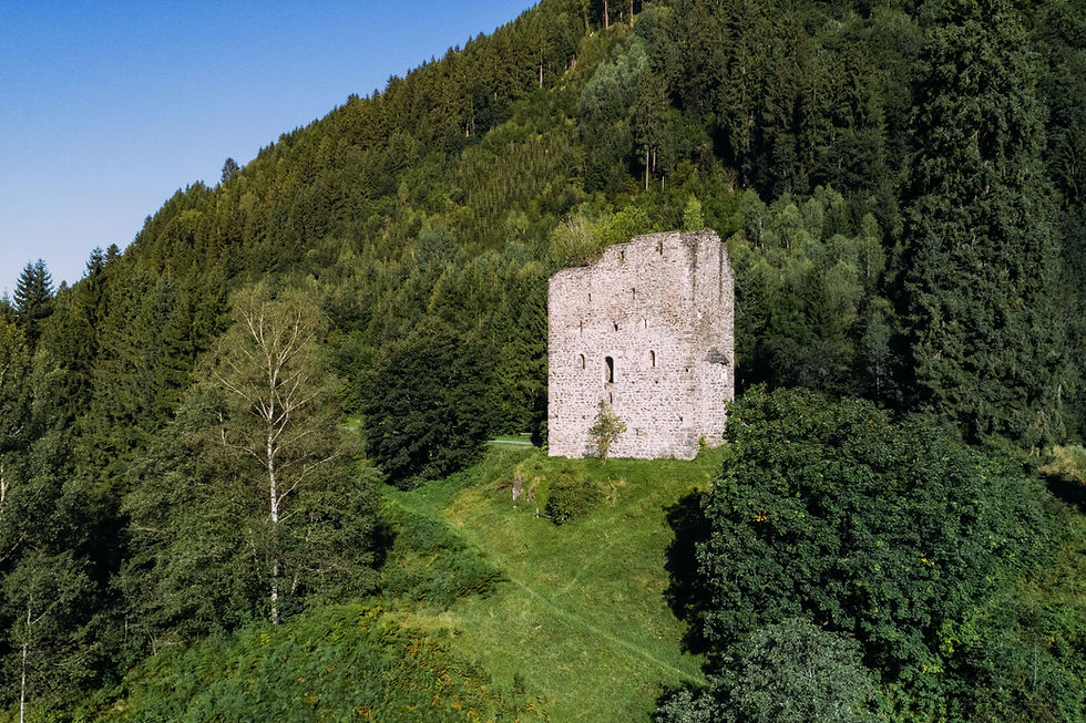 Burgruine Weyer