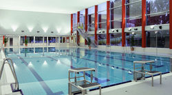 Friendly City Hotel Oktopus