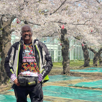 Sakura in Japan, Bike Tour