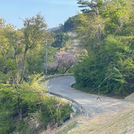 Day 111 - Exploration and A Curious Expedition: Visiting Matsushima and the Fukushima Nuclear Plant