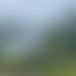 Day 126 - Journeying Through Scenic Splendor: A Memorable Ride from Miyazaki to Oita