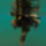 image1.jpeg