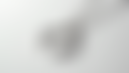 Elegant and Stylish Equestrian Jewelry for Women