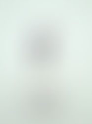 Sterling silver horsehair circle post earring | ER330038