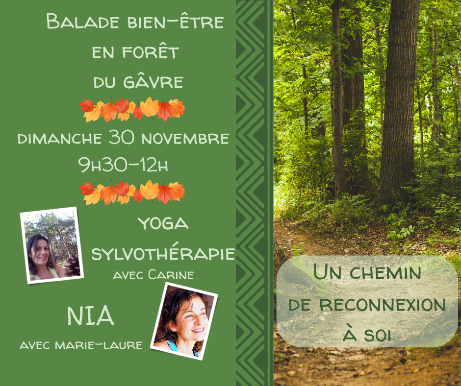 Balade Bien-être en forêt