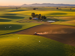 The Advantages of Trulanded for Agricultural Business Solutions