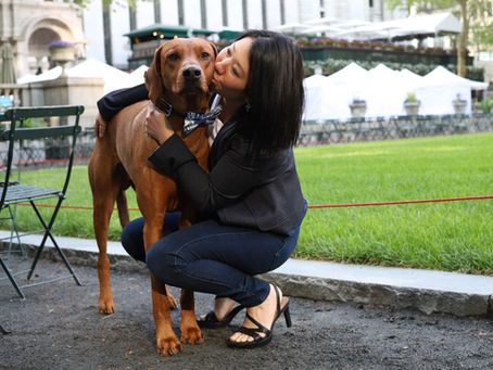 Real NYC Places That Inspired Our Children's Book, Koa's Ruff Life
