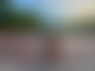 Keeping Your Dog Safe During NYC Heatwaves: A City Pet Owner's Essential Guide