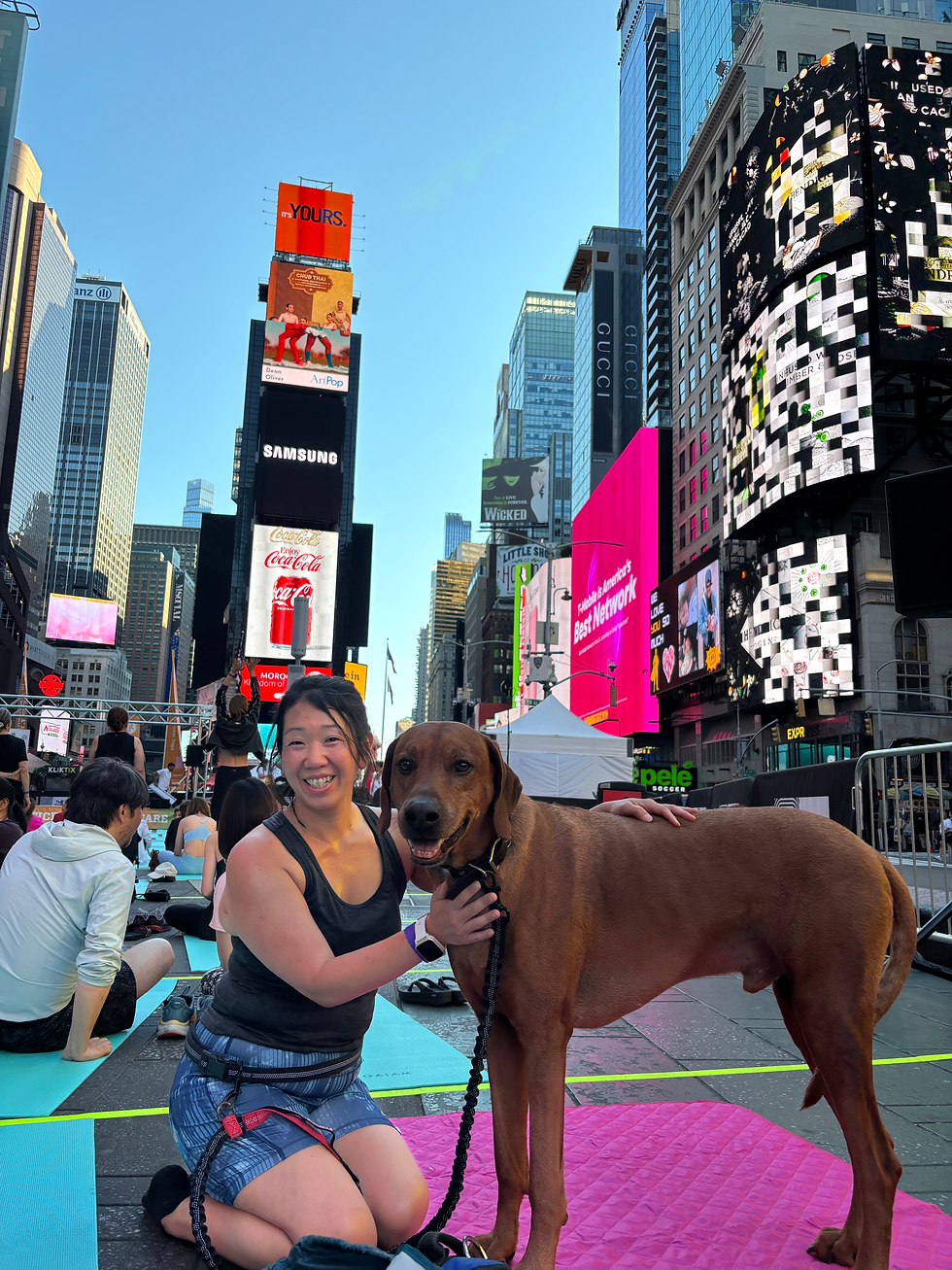 Andy and Koa, yoga at Times Square, NYC