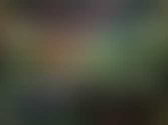 Norwich journeymen go on European adventure