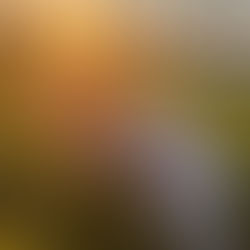 Lettera alla bambina nascosta dentro di te.