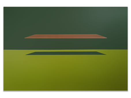Silvia Negrini, Board.