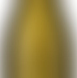 Asymmetric Sauvignon Blanc - Grand Chais de France 2023