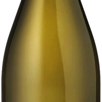 Asymmetric Sauvignon Blanc - Grand Chais de France 2023