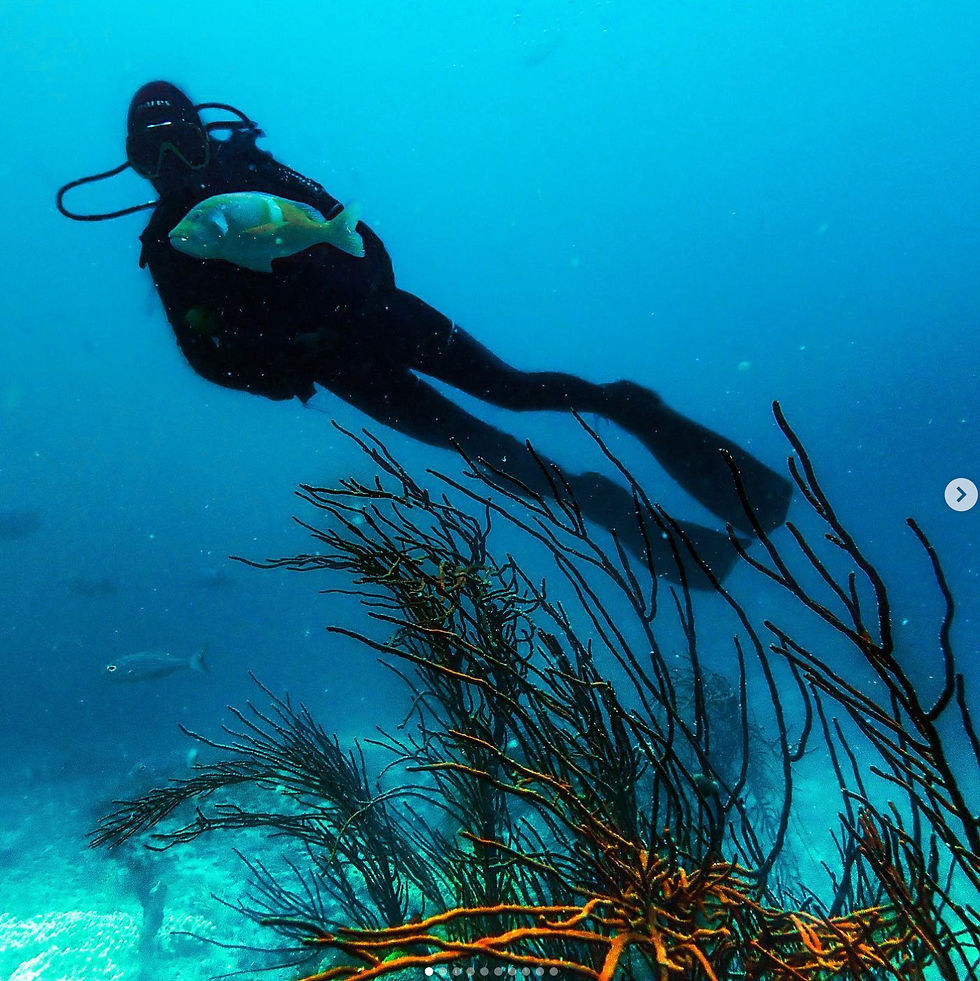 JENNA CAITLAN COYLE4