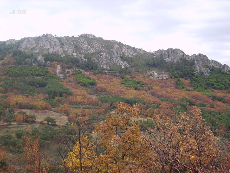 X la madrila dic-10.jpg