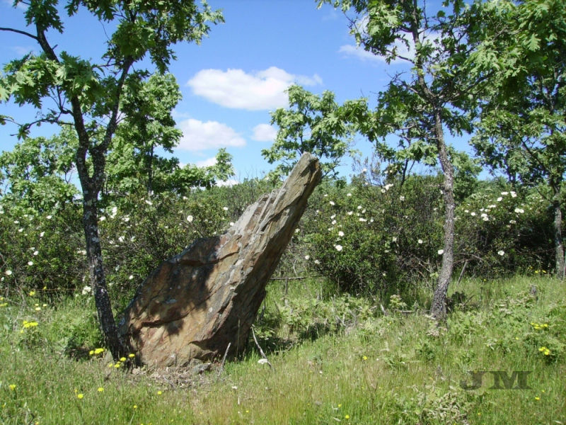 la zona.jpg