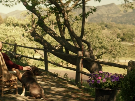 A Review and Recap of Star Trek: Picard--Season 1: Episode 1 (Second half)