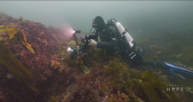 Fragile Hope begins marine allotments project with the University of Gothenburg