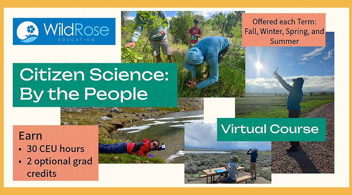 CitSci Poster-3-email banner.jpeg