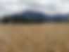 File_001.jpeg