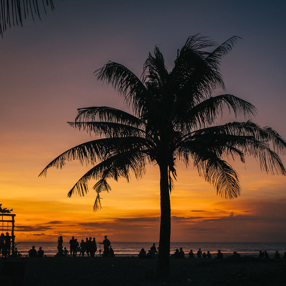 Thumbnail: Bali Coastal Relaxation Escape