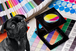 How to use RGB and CMYK in Photoshop or Illustrator