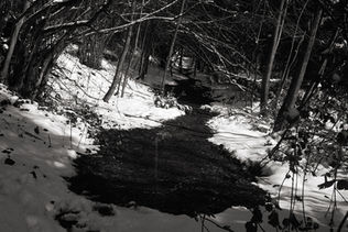oyku-cataltepe-karasu-black-white-analog-photo-winter-forest-istanbul-2025-45.jpg