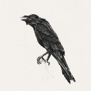 oyku-cataltepe-karasu-inking-crows-2020-19.jpg