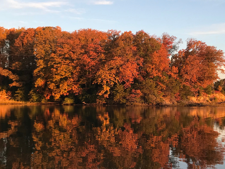 Chasing Autumn: The Best Fall Foliage Drives Near Washington, D.C.