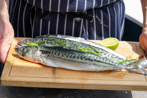 CH Food Edit WEB 17.6.22-31.jpg