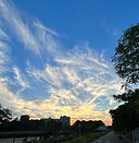 S__40288266.jpg