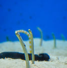 S__224043313.jpg