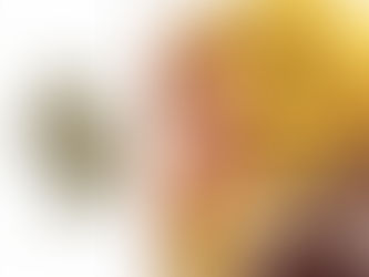 Shop Smarter, Not Harder: The Absolute Choice Bundle Has Arrived