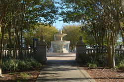 Orlando Location Scout
