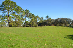 Orlando Location Scout