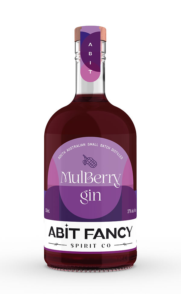 Abit Fancy Mulberry Gin (1).jpg