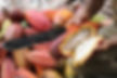 Recoverd_jpg_file(6136).jpg
