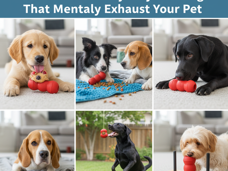 Stop the Boredom: 5 Creative Uses for KONG Toys for Dogs That Mentally Exhaust Your Pet