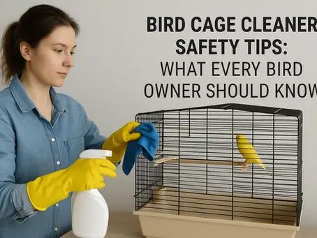 Bird Cage Cleaner Safety Tips: What Every Bird Owner Should Know