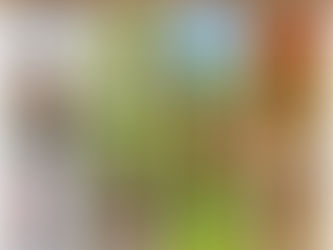 Seasonal Bird Feeding Secrets: What to Serve for Maximum Flocks in Winter, Spring, Summer, and Fall