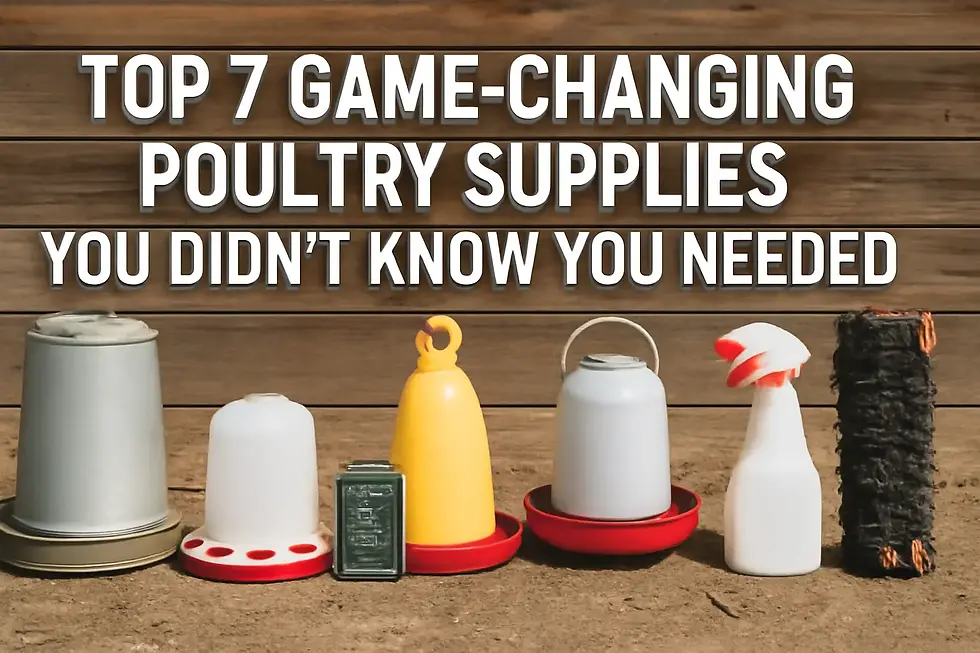 Poultry Supplies