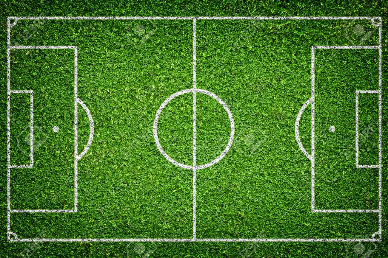 25474739-closeup-image-of-natural-green-grass-soccer-field.webp