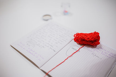 Rebecca Romanelli-0009-NZ5_2008.jpg