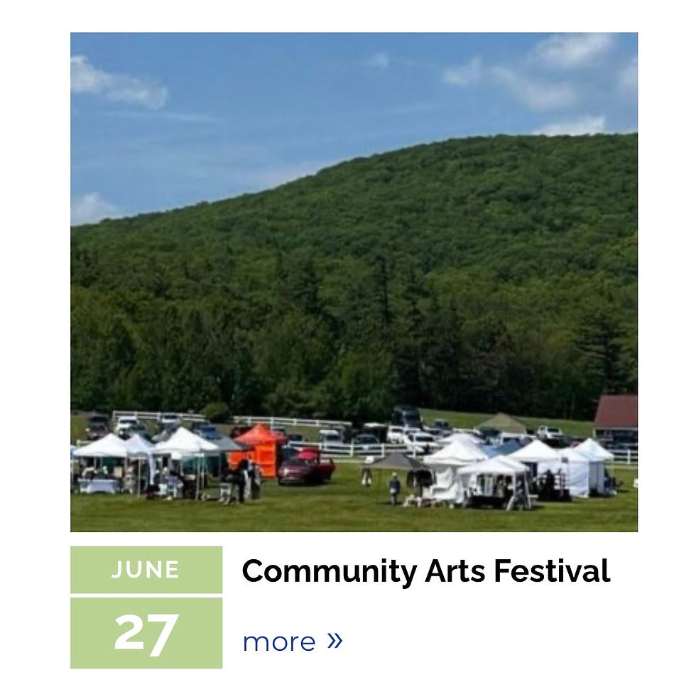 Castle In The Clouds Annual Community Arts Festival