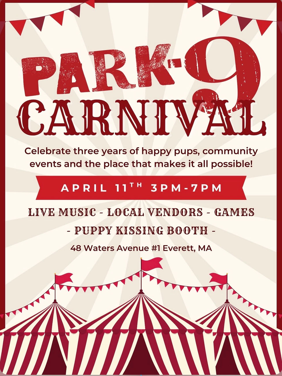 Park9 Carnival