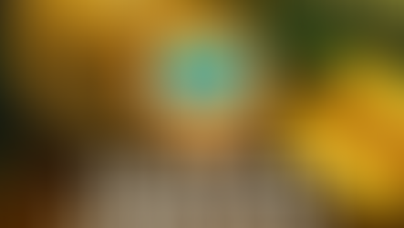 Market Update Gold & Silver